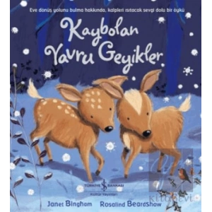 Kaybolan Yavru Geyikler