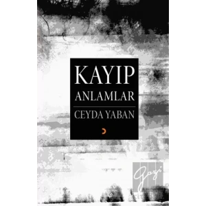 Kayıp Anlamlar