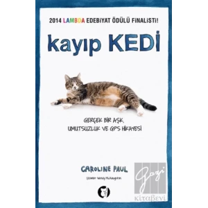 Kayıp Kedi