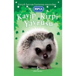 Kayıp Kirpi Yavrusu