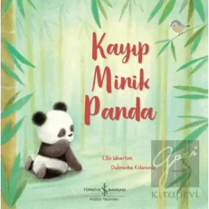 Kayıp Minik Panda