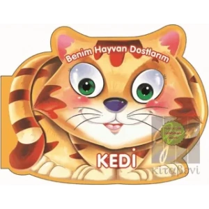 Kedi - Benim Hayvan Dostlarım
