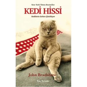 Kedi Hissi