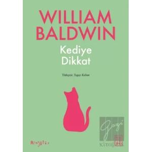 Kediye Dikkat