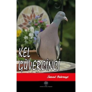 Kel Güvercinci