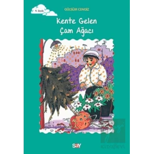 Kente Gelen Çam Ağacı