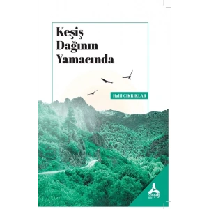 Keşiş Dağının Yamacında