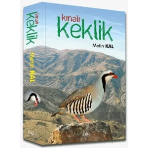 Kınalı Keklik