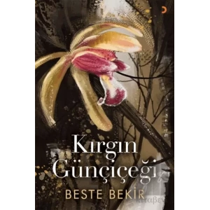 Kırgın Günçiçeği