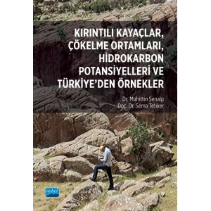 Kırıntılı Kayaçlar, Çökelme Ortamları, Hidrokarbon Potansiyelleri ve Türkiye’den Örnekler