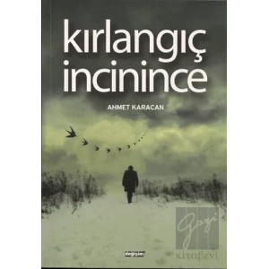 Kırlangıç İncinince