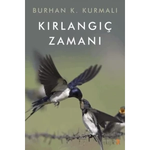 Kırlangıç Zamanı