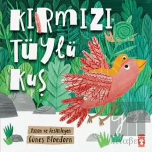 Kırmızı Tüylü Kuş