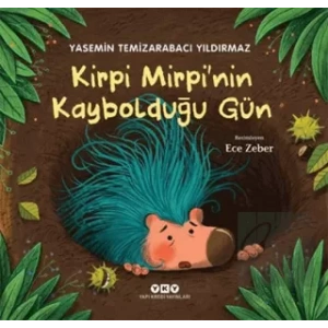 Kirpi Mirpi’nin Kaybolduğu Gün