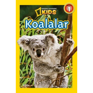 Koalalar