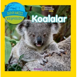 Koalalar