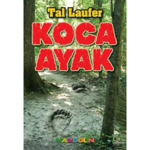 Koca Ayak