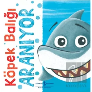 Köpek Balığı Aranıyor