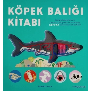 Köpek Balığı Kitabı (Ciltli)