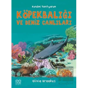 Köpek Balığı ve Deniz Canlılarına Soralım