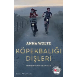 Köpekbalığı Dişleri