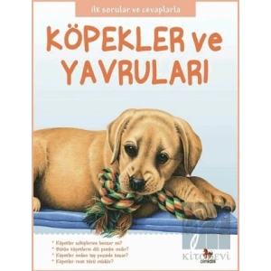 Köpekler ve Yavruları - İlk Sorular ve Cevaplarla