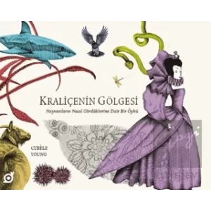 Kraliçenin Gölgesi