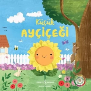 Küçük Ayçiçeği
