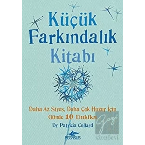 Küçük Farkındalık Kitabı
