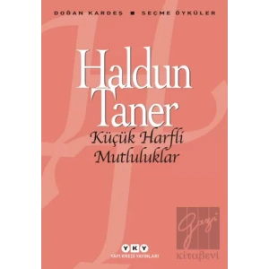 Küçük Harfli Mutluluklar
