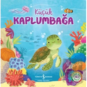 Küçük Kaplumbağa