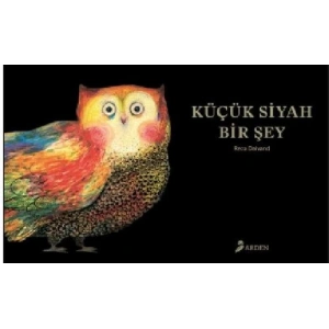 Küçük Siyah Bir Şey