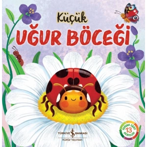 Küçük Uğur Böceği