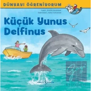 Küçük Yunus Delfinus