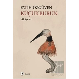 Küçükburun