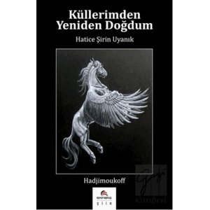 Küllerimden Yeniden Doğdum