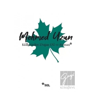 Küllerinden Doğan Dil ve Roman