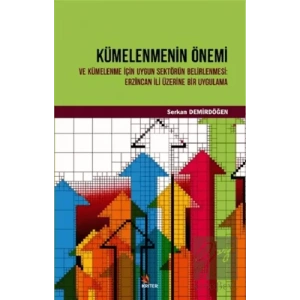 Kümelenmenin Önemi ve Kümelenme İçin Uygun Sektörün Belirlenmesi: Erzincan İli Üzerine Bir Uygulama