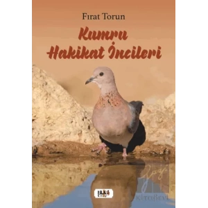 Kumru Hakikat İncileri