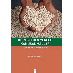 Küreselden Yerele Kamusal Mallar