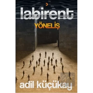 Labirent Yöneliş
