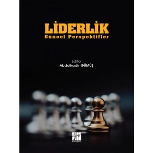 Liderlik Güncel Perspektifler - Abdulkadir Gümüş
