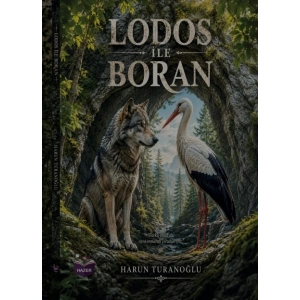 Lodos İle Boran