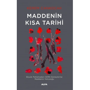 Maddenin Kısa Tarihi