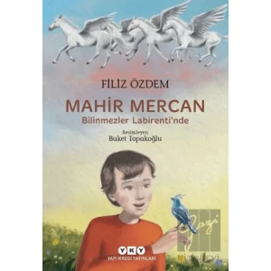 Mahir Mercan - Bilinmezler Labirentinde