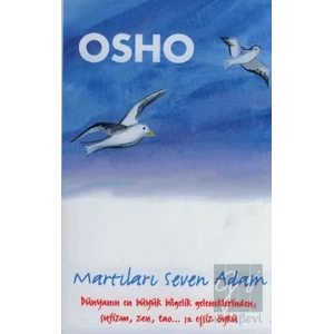 Martıları Seven Adam