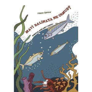 Mavi Balinaya Ne Olmuş