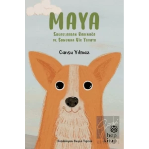 Maya - Sokaklardan Barınağa ve Sonunda Bir Yuvaya