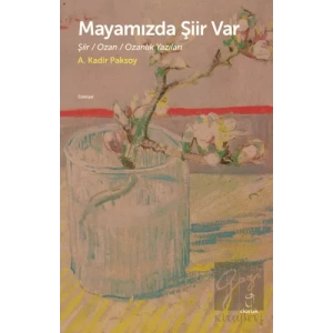 Mayamızda Şiir Var