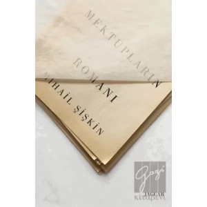 Mektupların Romanı